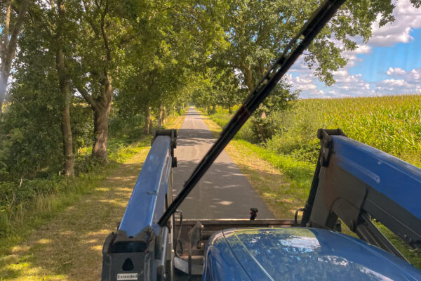 Auf dem Weg von den Ställen zurück zum Hof